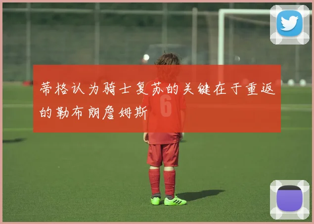 蒂格认为骑士复苏的关键在于重返的勒布朗詹姆斯